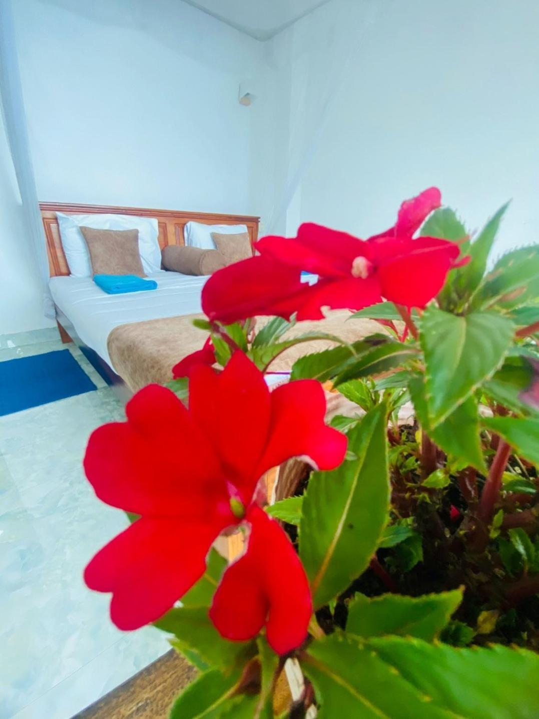 Two Rock Vista Hotel Ella Ngoại thất bức ảnh